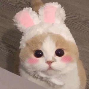 性受XXXX黑人XYX性爽
