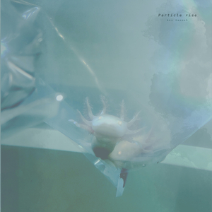 性受XXXX黑人XYX性爽
