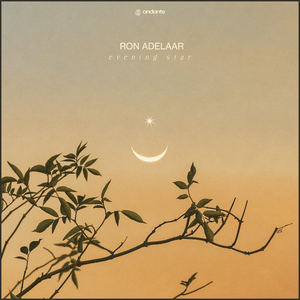 性受XXXX黑人XYX性爽
